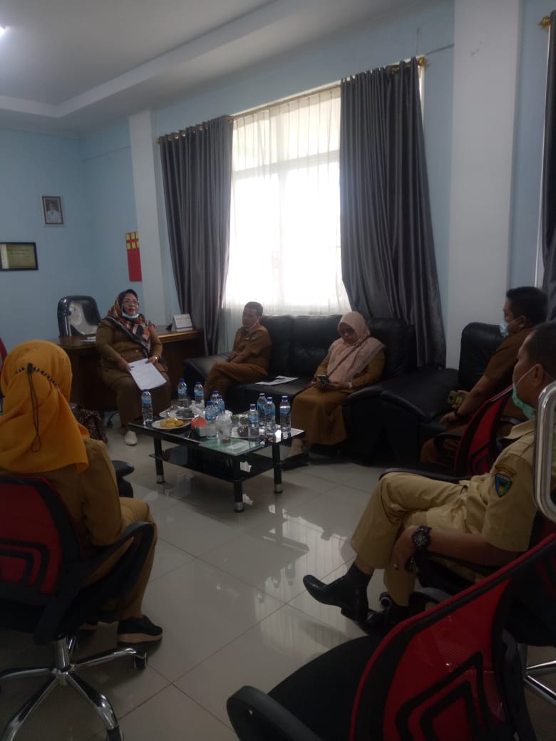 Kunjungan Dinas Kesehatan ke RSUD Tapan